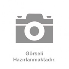 Aslı Esil Küçükyıldız
